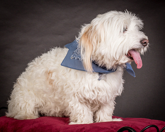 Foster Frosty-0560