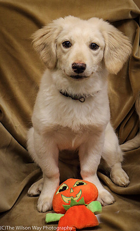 Foster Stephanie-0381