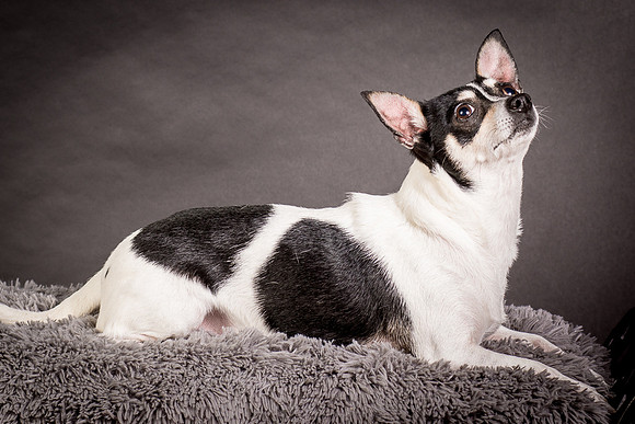 Foster Richa-0490
