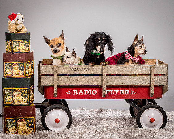 Foster Hospice Gang-3953