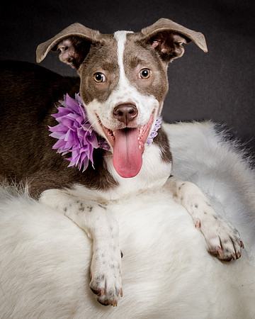Foster Ari-8621