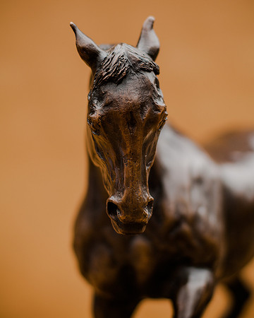 KTM-Horse Sculpture-0874