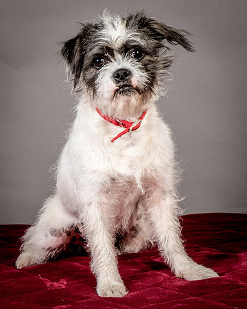 Foster Leeza-2711