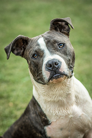 Foster Maya-0391