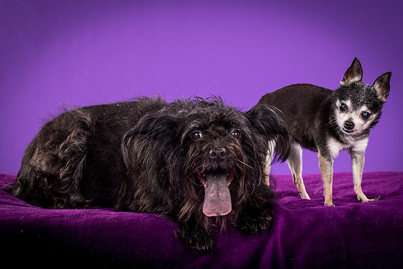 Naya And Rhumba-4779