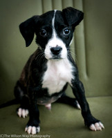 Foster Bennett-3855