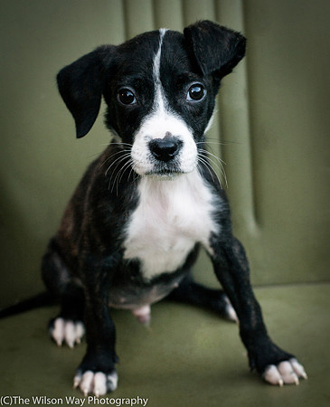 Foster Bennett-3855