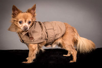 Foster Pancho-9469