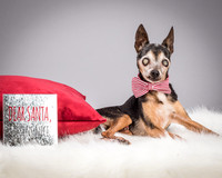 Foster Elliott-3704