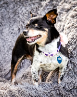 Foster Leela-7986