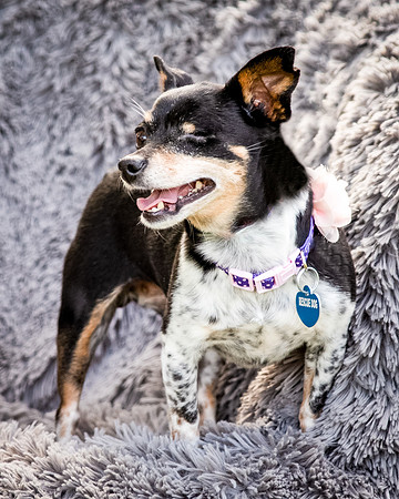 Foster Leela-7986