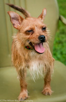 Foster Harry-3615