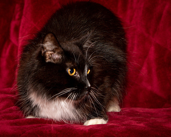 Foster Hershey-9482