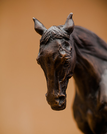 KTM-Horse Sculpture-0891