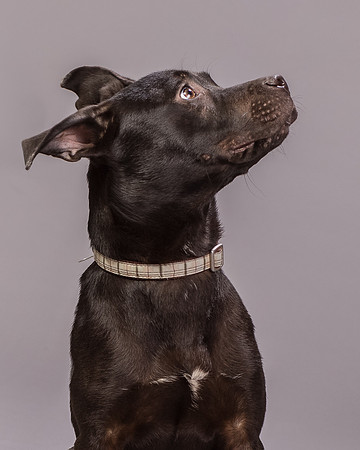 Foster Adam-7019