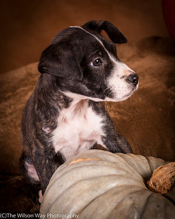 Foster Bennett-6320