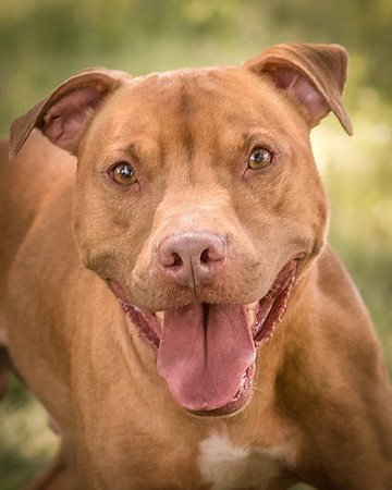 Foster Pablo-7989