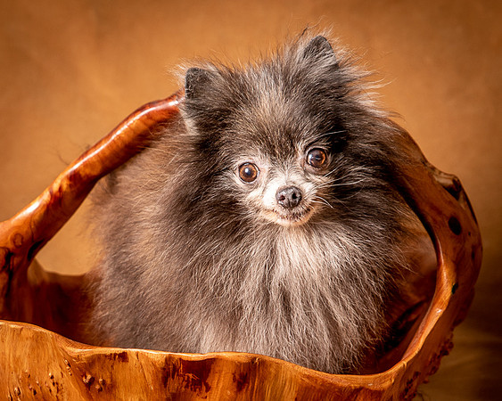 Foster Loretta-1331