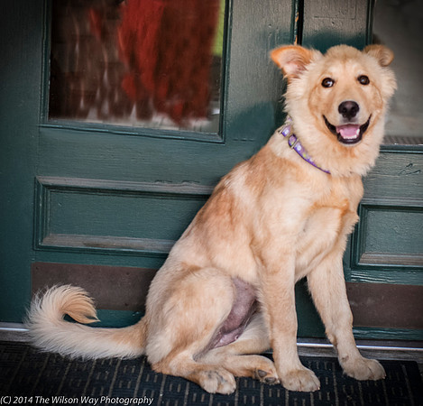 Foster Presha-9427