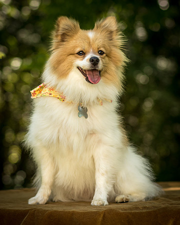 Foster Sydney-7690