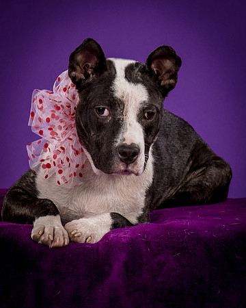 Foster Claire-4199