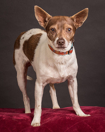 Foster Gus-0389