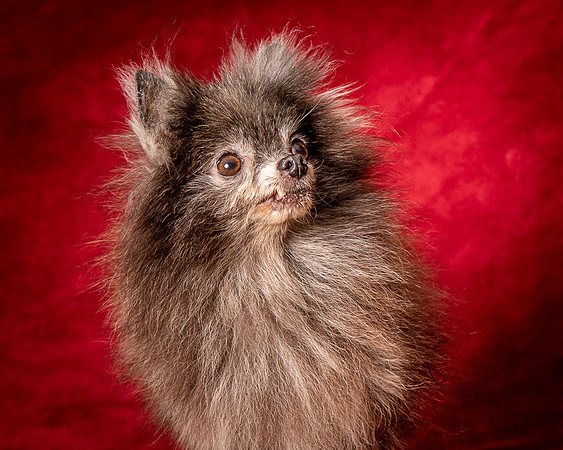 Foster Loretta-1361