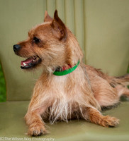 Foster Harry-3673