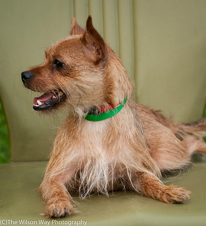 Foster Harry-3673