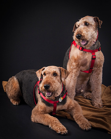 Martha May & Smitty-5197