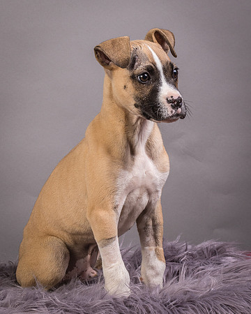 Foster Barnabas-4487