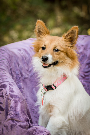 Foster Brandi-3265