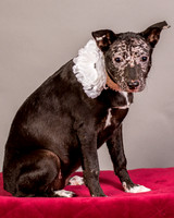 Foster Kendal-8785