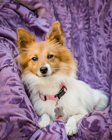 Foster Brandi-3174