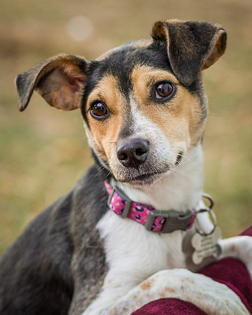 Foster Buffy-5537