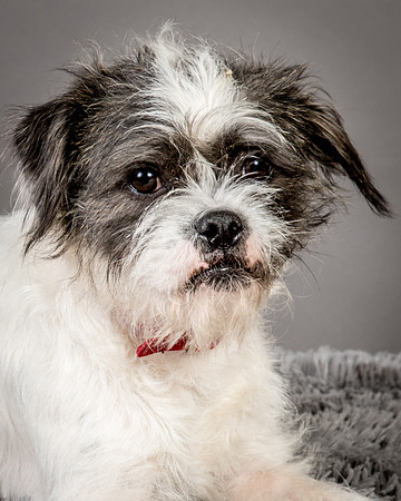 Foster Leeza-2638