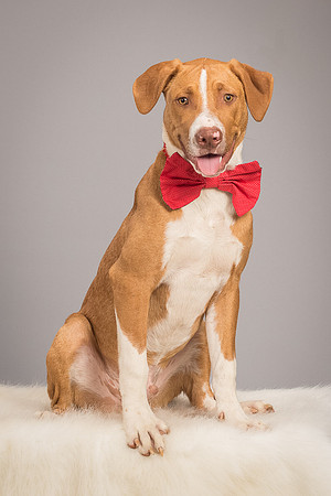 Foster Aldis-4579