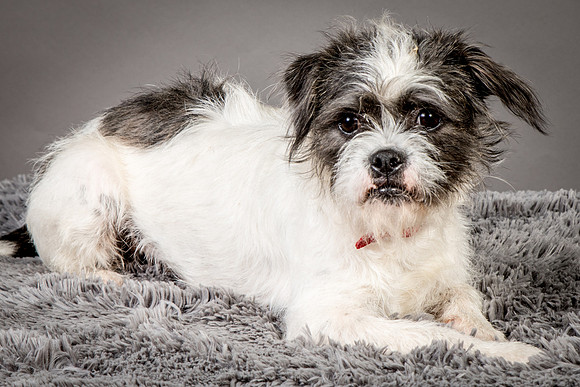 Foster Leeza-2625