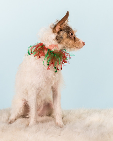 Foster Reagan-4934