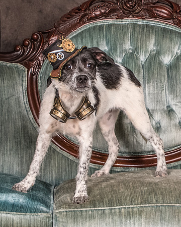 Foster Billie-8132