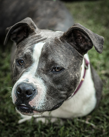 Foster Maya-0287