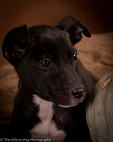 Foster Beryl-6280