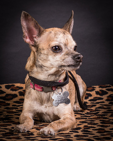 Foster Selina-1222