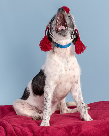 Foster Billie-8248