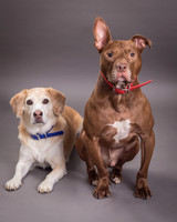 Red and Max Griner-7594