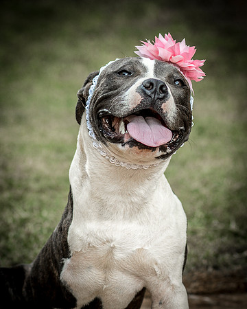 Foster Maya-0345