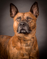 Foster Beans-2239