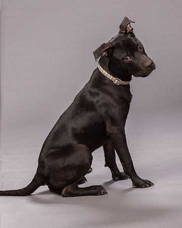 Foster Adam-7008
