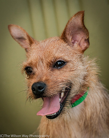 Foster Harry-3646
