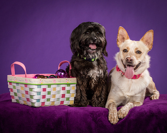 Henry and Maggie-1309